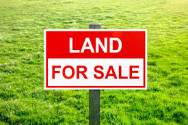 Plot for Sale – Kozhilatt Kaithekkal, Mangad Road