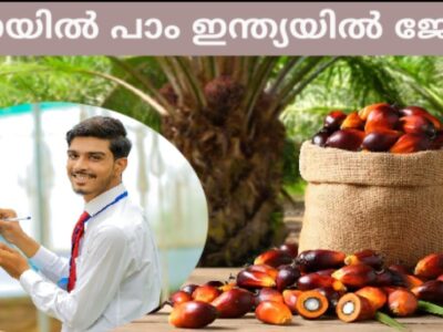 Oil Palm India Limited – Trainee Vacancies