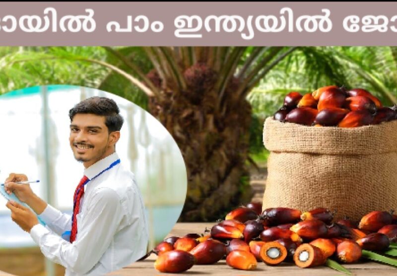Oil Palm India Limited – Trainee Vacancies