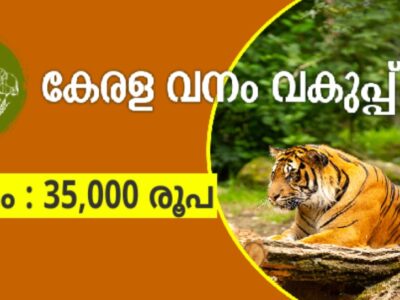 Job Vacancy – Ecotourism-cum-Marketing Specialist