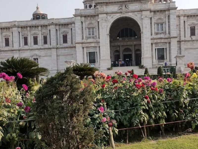 Riya - The Travel Expert | Kozhikode