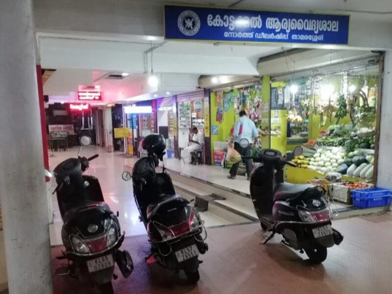 New Zone International Tours & Travels