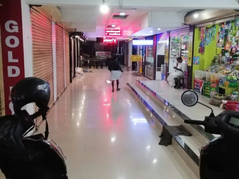 New Zone International Tours & Travels