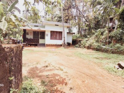 House & Land for Sale – Thamarassery, Alikunnummal