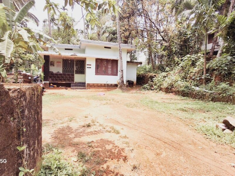 House & Land for Sale – Thamarassery, Alikunnummal