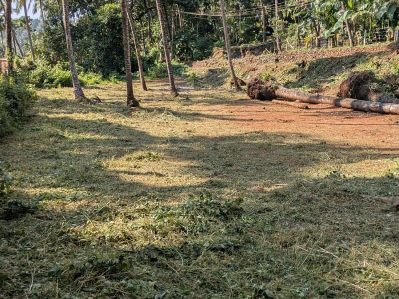 Residential Plot for Sale Near Kunnamangalam – Kalarikandi