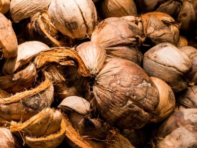 Coconut Husk (Chakiri) for Sale – Thamarassery