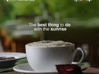 Morickap Resort: The Ultimate Luxury Escape in Vythiri, Wayanad