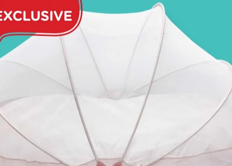 MIZOKID: The Ultimate Destination for Kids' Fashion in Thamarassery