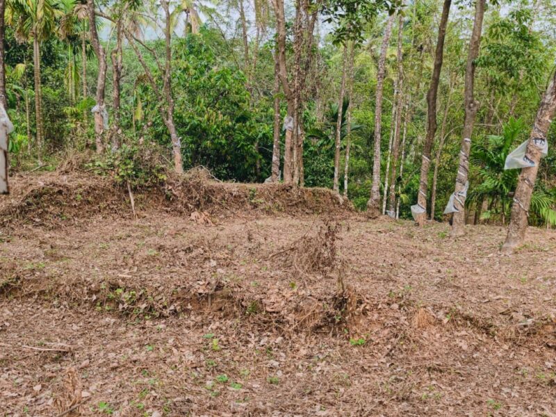 Land for Sale in Thalayad