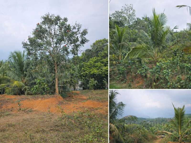 Prime 1.76-Acre Land for Sale in Engapuzha (Kunjukulam Route)