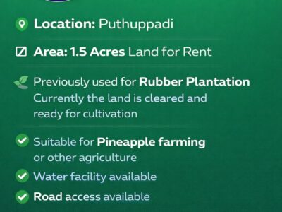 Agricultural Land for Lease in Puthuppady