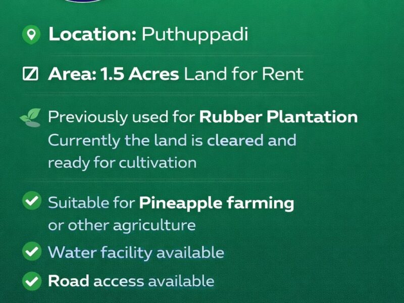 Agricultural Land for Lease in Puthuppady