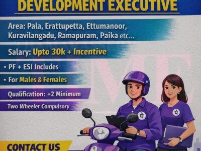 Job Opportunity: Business Development Executive at PhonePe Pvt. Ltd.