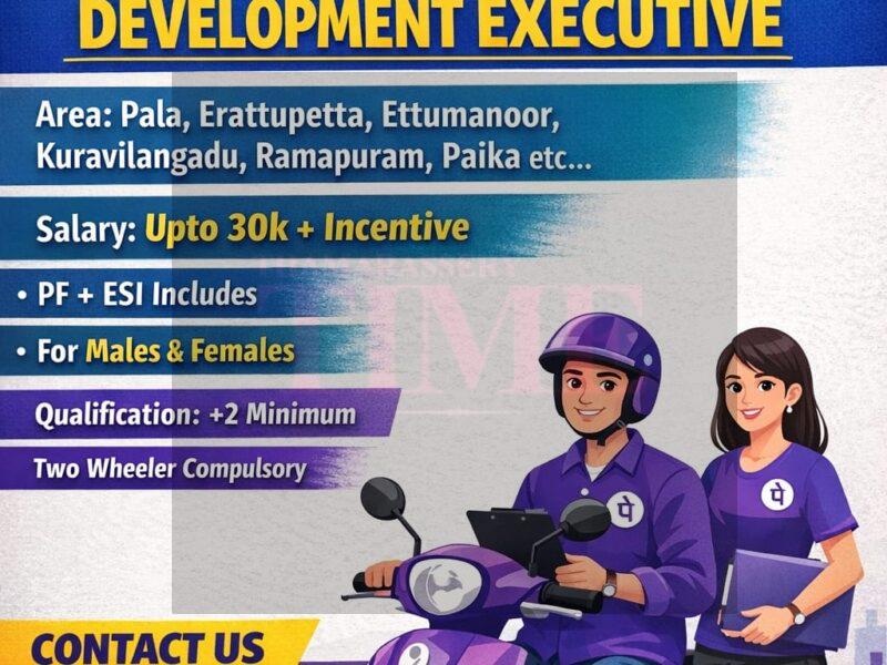 Job Opportunity: Business Development Executive at PhonePe Pvt. Ltd.