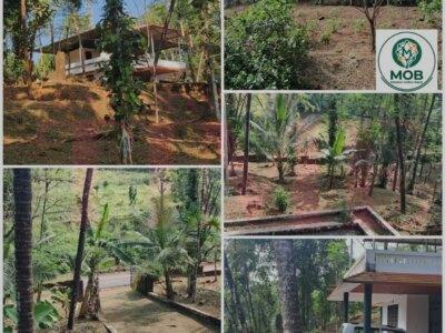 Prime Property for Sale at Sreekandapuram (Echeri)