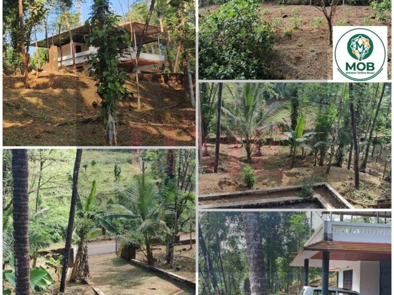 Prime Property for Sale at Sreekandapuram (Echeri)