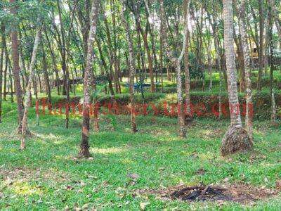 LAND FOR SALE IN MUKKAM