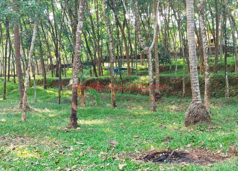 LAND FOR SALE IN MUKKAM